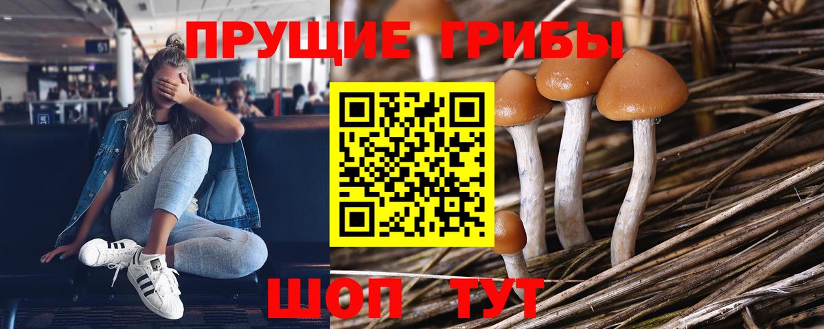 Псилоцибиновые грибы GOLDEN TEACHER Надым