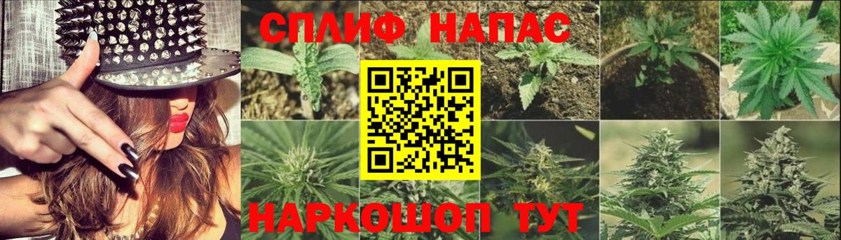 Канабис VHQ  Бошки Шишки THC 21%  Вход с VPN  Надым  Шишки марихуана марихуана 